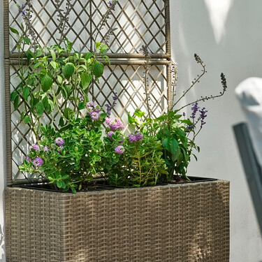 Jysk tiene una jardinera con celosía ideal para añadir privacidad a balcones o terrazas de forma natural