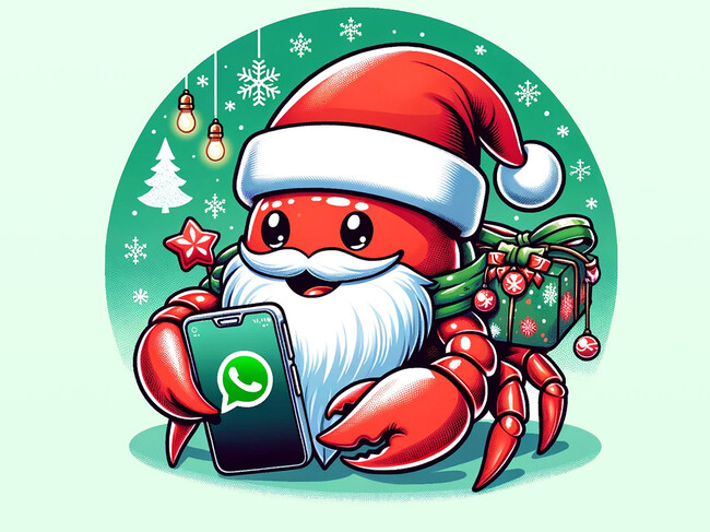 Whatsappnoviembre