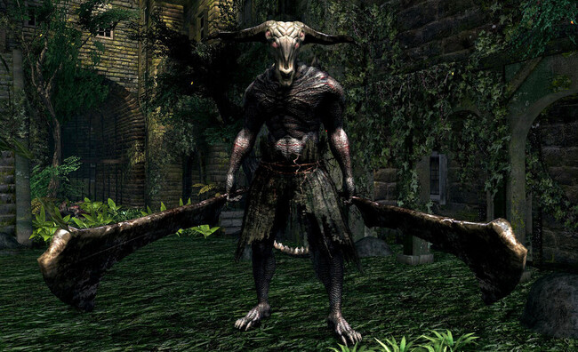 Dark Souls Aries
