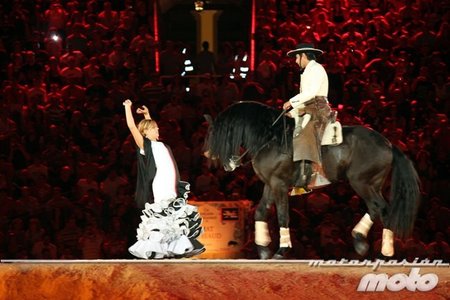 Caballos red bull