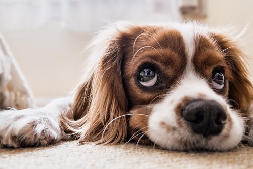 ¿Depresión post-vacacional? Cuatro formas de hacer más llevadera la vuelta a trabajo de tus empleados