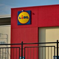El lunes, 11 de mayo, llega a Lidl la solución para ganar privacidad en terrazas, jardines y balcones 