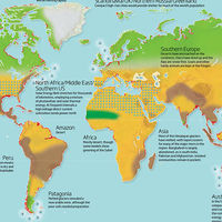 Así quedará el mundo cuando las temperaturas hayan ascendido hasta cuatro grados centígrados 