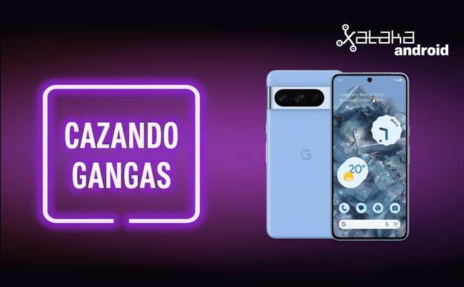 Cazando Gangas