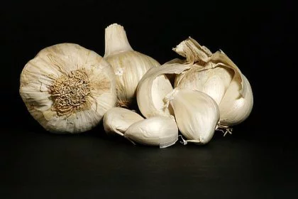 La gastronomía de España y sus regiones, un interés cultural