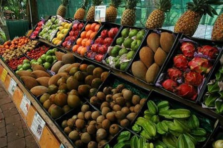 Comparativa entre frutos salvajes y frutos procesados