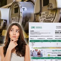 Te mudaste y el recibo de CFE sigue a nombre de otra persona: así puedes cambiarlo 