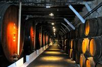 Descubriendo Oporto: las bodegas
