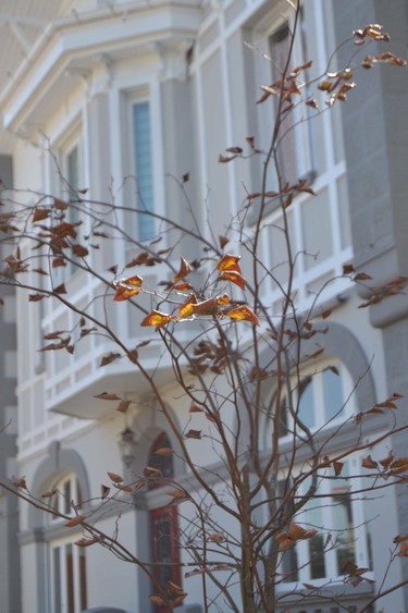 ¿Surfero haciendo turismo en Asturias? Ewan House es tu lugar para dormir 