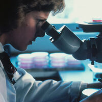 Cuando YouTube ayudó a resolver un misterio de más de 400 millones de años que desesperaba a los científicos 