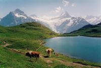 Bachalpsee, el lago más hermoso de Suiza 