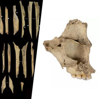 Las sociedades del Neolítico tenían una técnica para la “eliminación extrema” del rival: el canibalismo