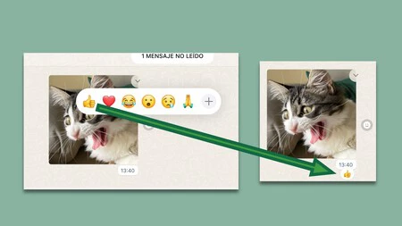 reacciones whatsapp web