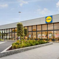 Ideal para familias con niños: esta piscina de montaje rápido de 240 cm de diámetro está a un precio irresistible en Lidl