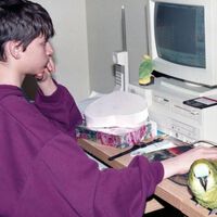 Subió una foto jugando en PC en los noventa y preguntó qué juego era: una investigación colectiva reveló el misterio 