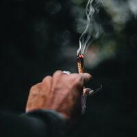 Tu ADN predice si vas a consumir cannabis (y con qué frecuencia): ya han identificado a los genes culpables