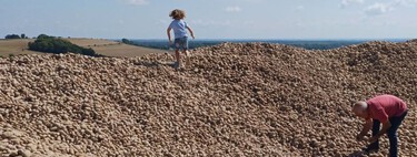Un agricultor regala 500 toneladas de patatas para que no  se pudran y convierte su campo en un peregrinaje de necesitados y oportunistas 