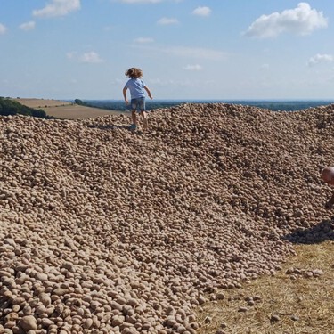 Un agricultor regala 500 toneladas de patatas para que no  se pudran y convierte su campo en un peregrinaje de necesitados y oportunistas 