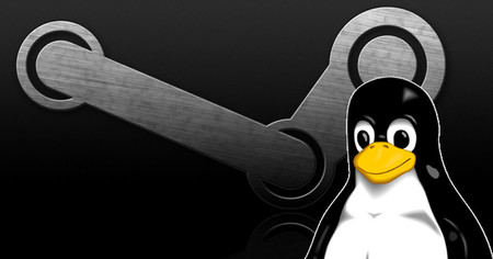 Steam se hace por fin compatible por defecto con drivers gráficos Open Source en GNU/Linux