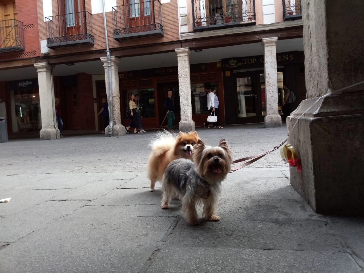 Foto de Muestras de cámara Alcatel A7 (11/22)