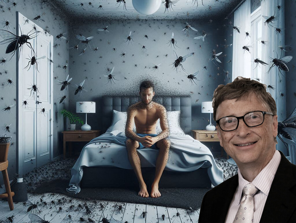 Valencia ya tiene un plan para acabar con los mosquitos. Es el casi calcado al de Bill Gates en su lucha para exterminarlos