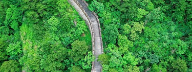 China quería frenar el avance del desierto plantando árboles. Cuatro décadas después, el agua se ha convertido en el gran problema
