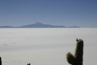 Los más entre los desiertos
