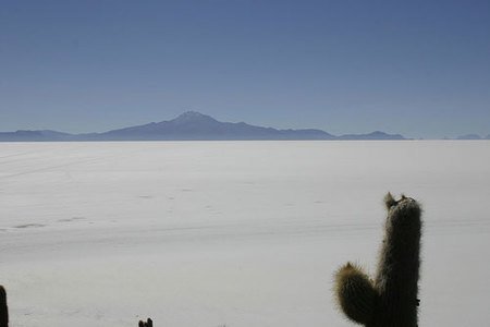 Los más entre los desiertos