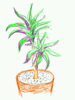 Dibuja en la pantalla con Pencil Box