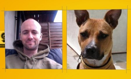 Pedigree tuvo éxito con una campaña para los amantes de los perros