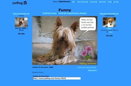 PetFlog, el fotolog de las mascotas