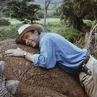 "No me da vergüenza decirlo". Aunque cueste verlo, Parque Jurásico es en realidad una secuela encubierta de otro clásico de Spielberg 