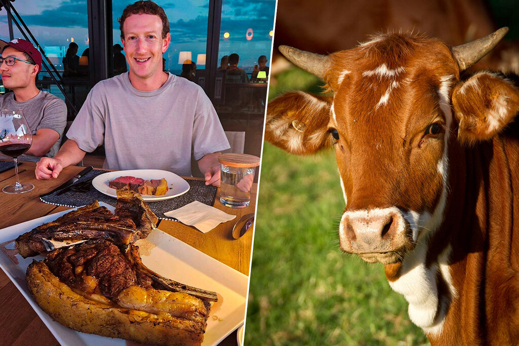El nuevo y disruptivo proyecto de Zuckerberg no es una IA: es carne de vaca alimentada con cerveza y nueces de macadamia