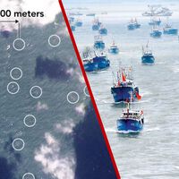 Imagens do espaço não deixam dúvidas: a China acumulou milhares de embarcações pesqueiras na costa do Japão; e elas não estavam lá para pescar 