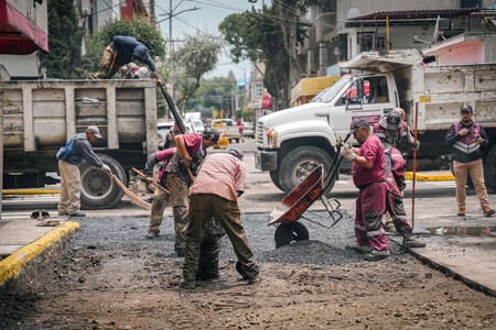Baches 5