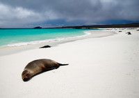 El mejor momento del año para viajar a las Islas Galápagos: El clima 