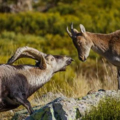 Foto 5 de 6 de la galería de-15-a-17-anos en Xataka Foto