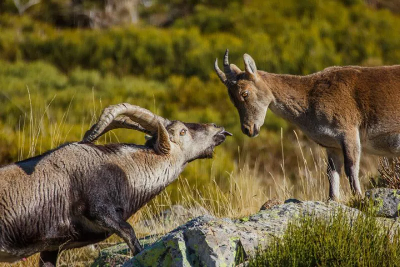 Foto de De 15 a 17 años (5/6)