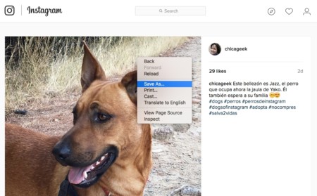 Descarga las fotos de Instagram a gran resolución en tu navegador con estos trucos