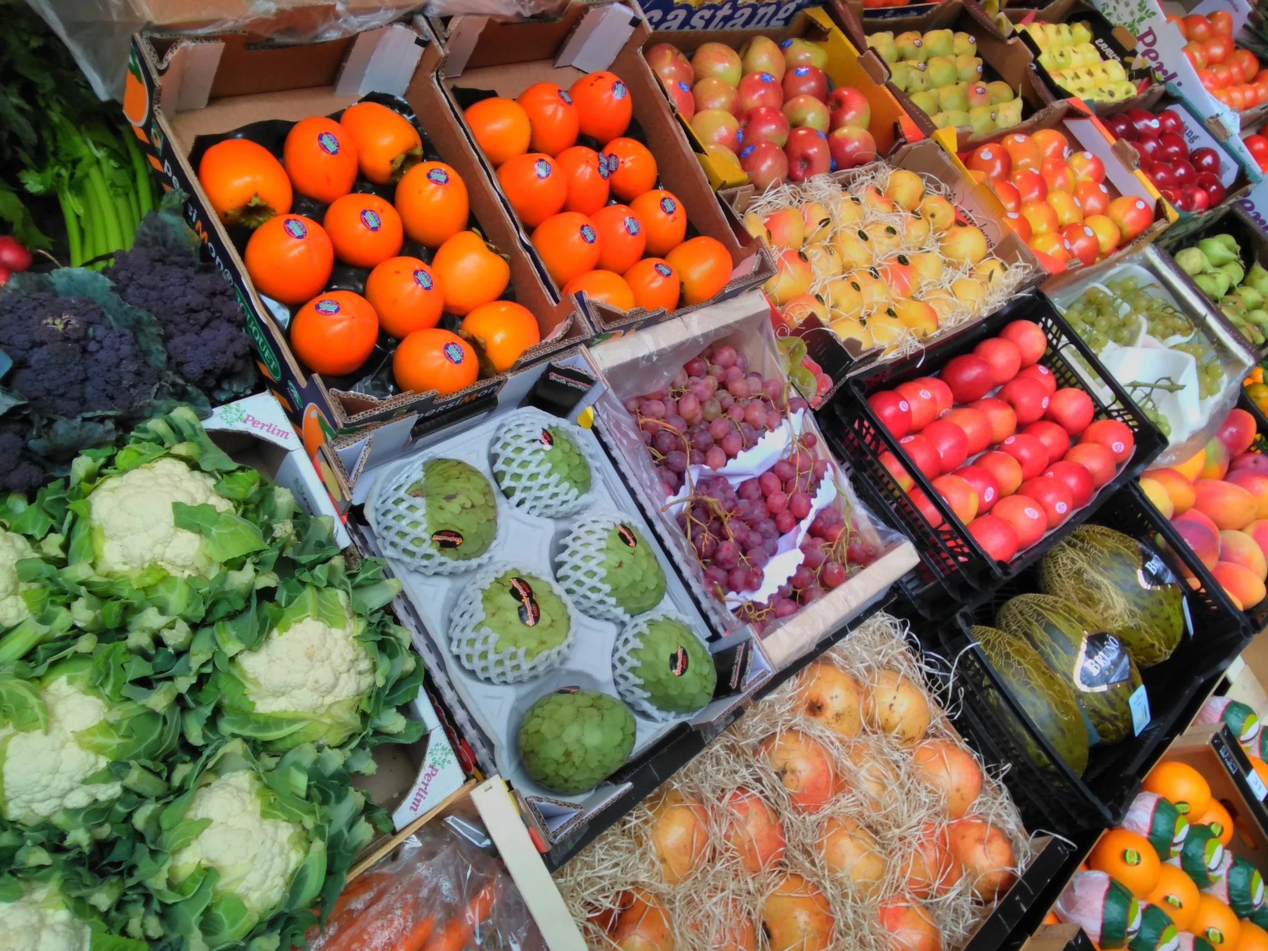 Fotos tomadas con el Nokia 2.1