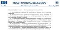 Miniempresas o empresas de estudiantes: ocurrencia legislativa del día en el BOE