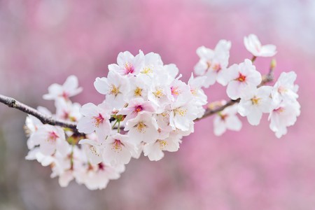 Dinero Infinito Japon Entra En Una Nueva Fase De Su Eterna Crisis 6
