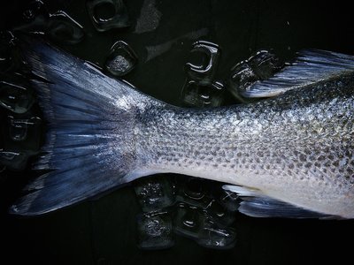 Esto es lo que pasa en tu cuerpo si consumes metales pesados