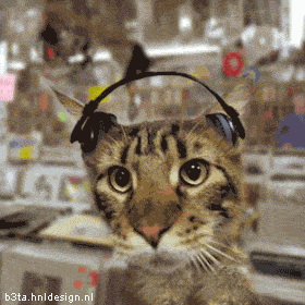 CatTunes, ten a tu felino contento