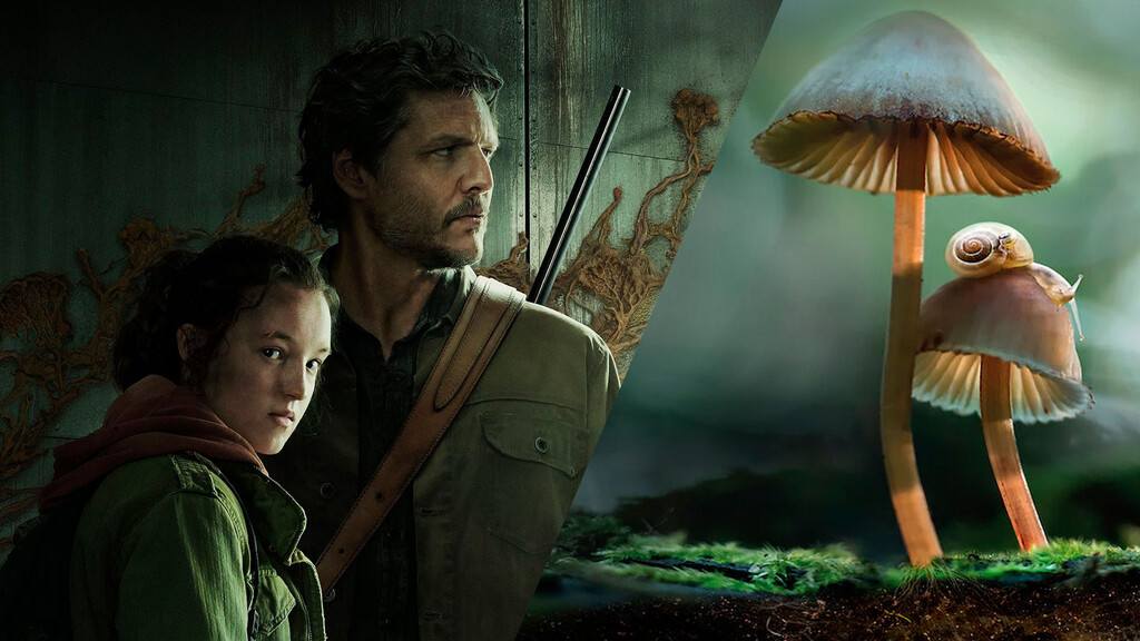 El documental que debes ver tras el primer capítulo de The Last of Us no está en HBO, está en Netflix El documental que debes ver tras el primer capítulo de The Last of Us no está en HBO, está en Netflix