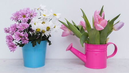 5 plantas de interior que florecen en invierno: ideales para bajas temperaturas y espacios pequeños