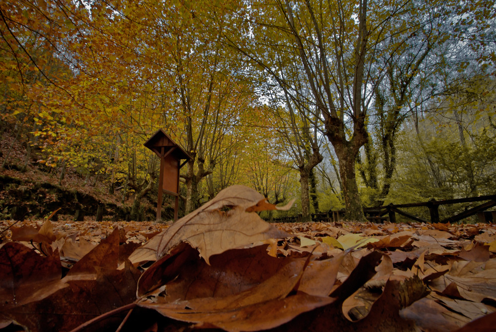 Citas para fotografiar el otoño: Fragas do Eume, A Coruña