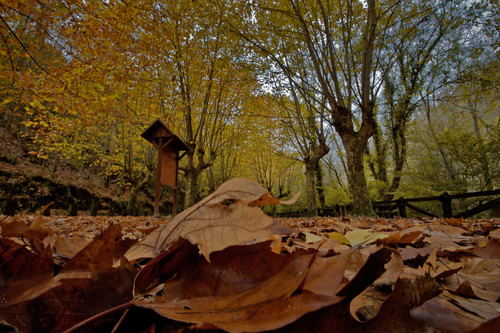 Citas para fotografiar el otoño: Fragas do Eume, A Coruña