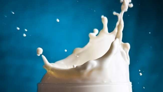 milk.jpg