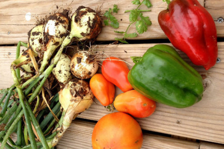 Alimentos menos procesados, alimentos con más nutrientes